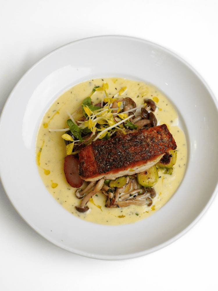 Barramundi Dish
